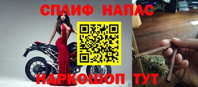 спайс Кудрово