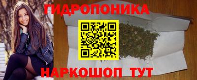 спайс Кудрово