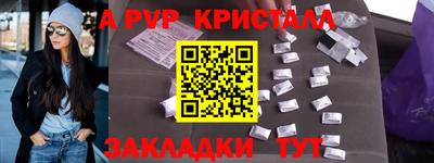 шишки Кузнецк