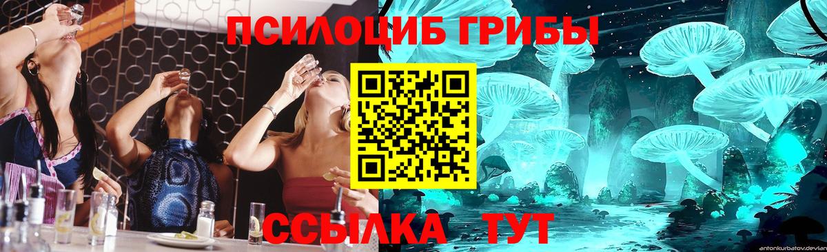 Петрозаводск  Псилоцибиновые грибы Psilocybe  Вход с VPN 